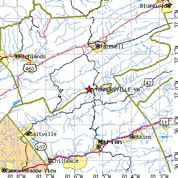 Tannersville, Virginia (VA) ~ population data, races, housing & economy