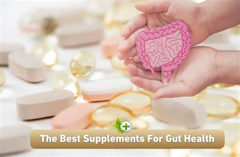 The Best Supplements For Gut Health - Ulti Health Guide