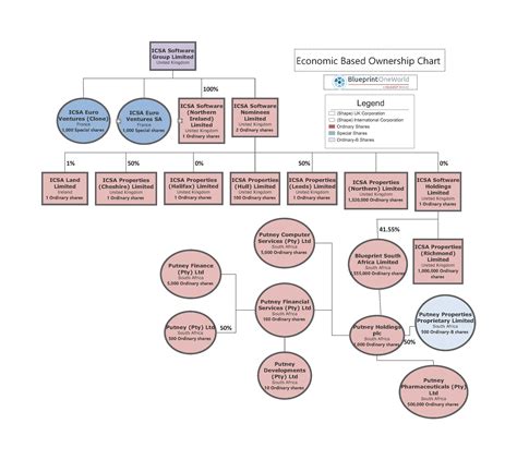 Examples of Organizational Charts for Business