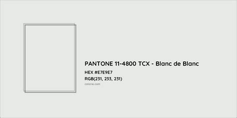 About PANTONE 11-4800 TCX - Blanc de Blanc Color - Color codes, similar colors and paints ...
