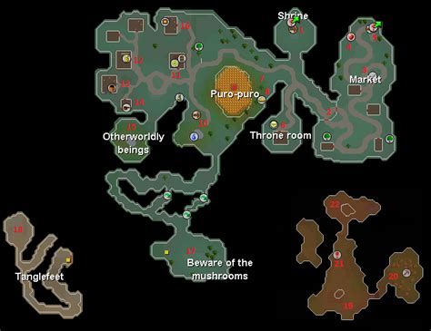 The Lost City Osrs - fasrvine