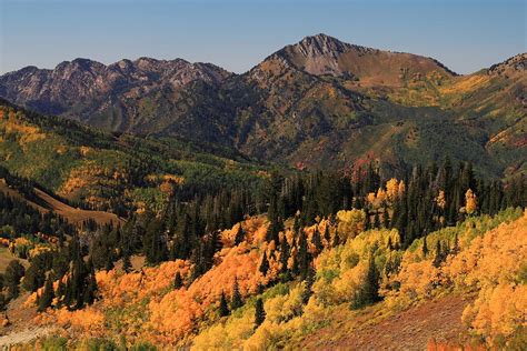 Fall Colors in Big Cottonwood Canyon Photograph by Richard Cheski - Pixels