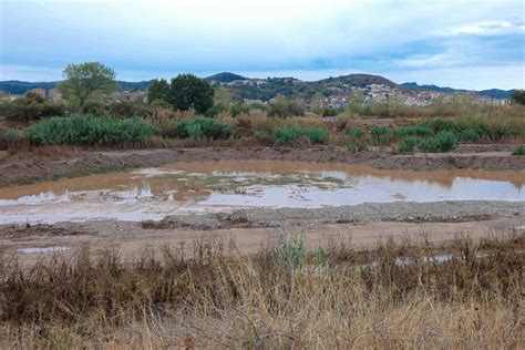 Llobregat river very close to its mouth in the mediterranean sea near ...