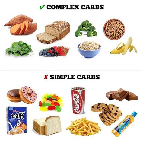 Carbohydrates & Dietary Fiber | OIST Groups