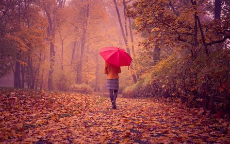 Girl Red Umbrella Fall Road Nature wallpaper | 2560x1600 | #19739