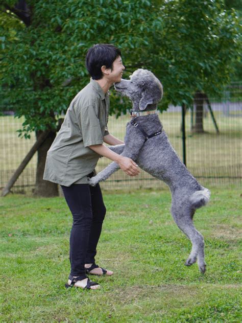 True love: Dogs cry happy tears of joy when their owners come home