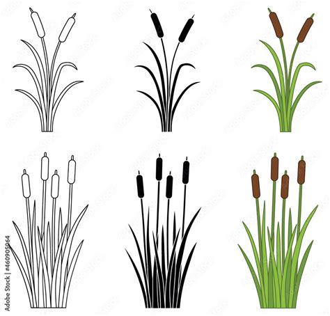 Cattail Reeds and Marsh Grass Clipart Set - Outline, Silhouette and ...