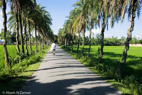 Free stock photo of bangladesh, beautiful, village