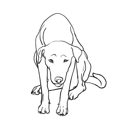 Royalty Free Dog Waiting Clip Art, Vector Images & Illustrations - iStock