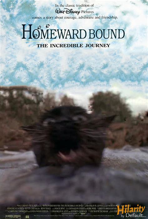 Out-of-Context Posters #9: Homeward Bound: The Incredible Journey (1993) - Hilarity by Default