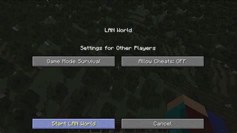 Starting a Minecraft Server: A Brief Overview - Connected Camps