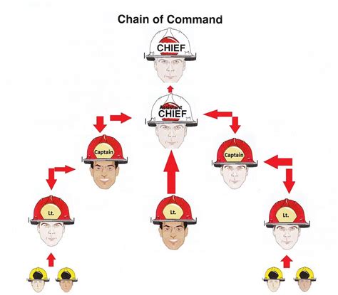 Image result for principle of unity of command | Chain of command, Unity, Command