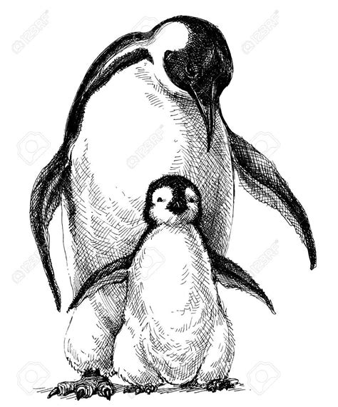 Cartoon Penguin Drawing at GetDrawings | Free download