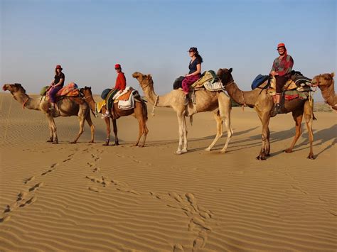 A Not Entirely Unexpected Journey: Rajasthan: In Which We Become Part-time Desert People.