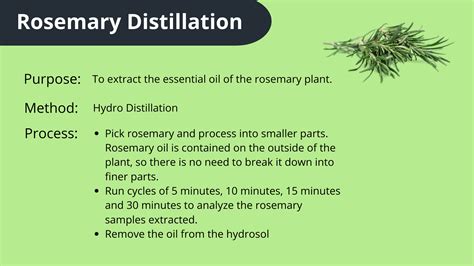 Extracting Rosemary With Hydro-Distillation - Instructables