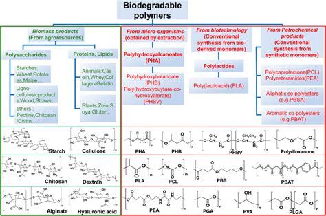 Frontiers | Biodegradable polymeric materials for flexible and ...