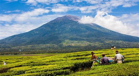 Konsep Baru 20+ Gambar Gunung Kerinci