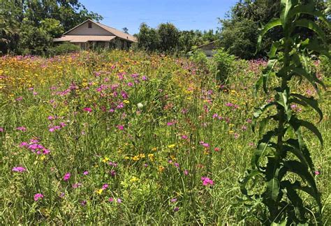 Big Bend Scenic Byway: Scenic Florida roadtrip