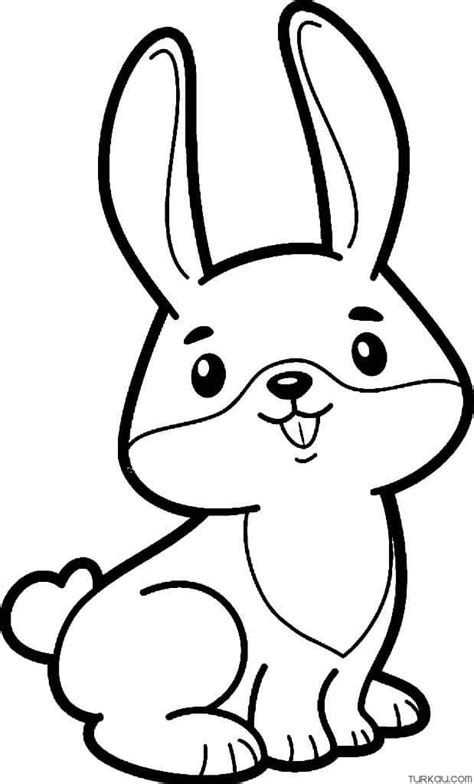 Cute Baby Rabbit Coloring Page » Turkau