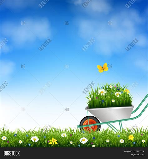 Garden Wheelbarrow Image & Photo (Free Trial) | Bigstock