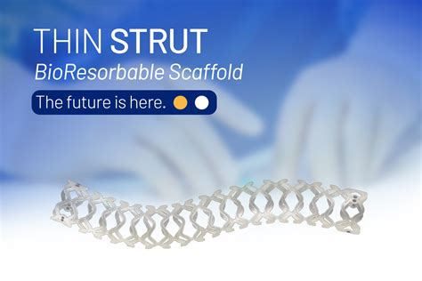 Bioresorbable Coronary Stent - The Future of PCI | Meril Life