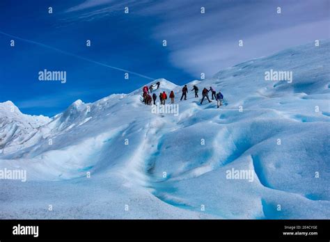 Hiking on glacier in Patagonia Stock Photo - Alamy