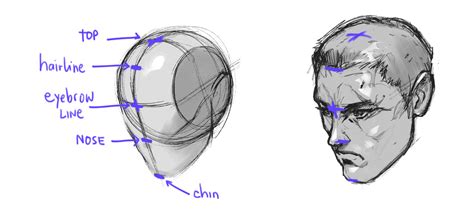 The Loomis Method of Drawing the Head, a Step-by-Step Guide – GVAAT'S ...