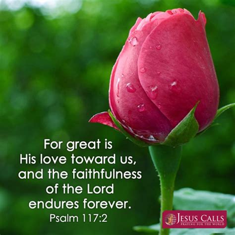 Psalm 117:2 - For great is His love toward us, and the faithfulness of ...