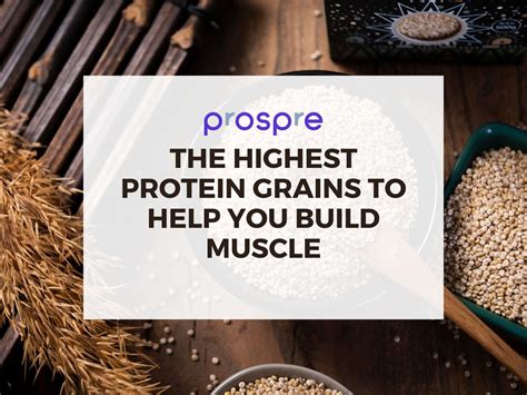 The Highest Protein Grains To Help You Build Muscle