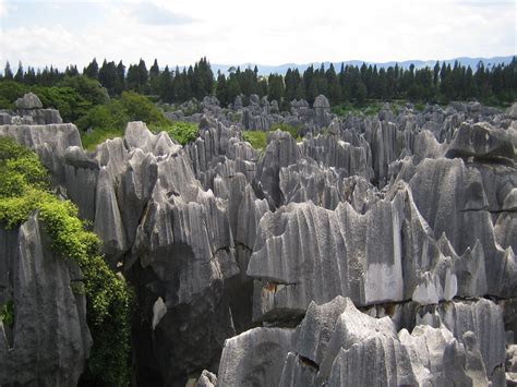 The Stone Forest Tourist Information, Facts & Picture