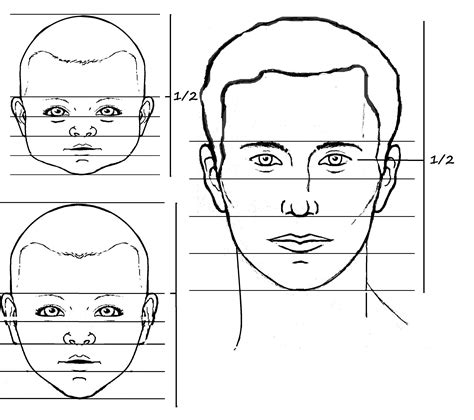 How to Draw a Realistic Face Proportions - Dill Fralmoverse