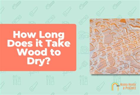 How Long Does it Take Wood to Dry? (Fast Drying Tips!)