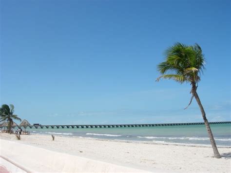 17 Best images about PROGRESO MEXICO on Pinterest | Mexico city ...