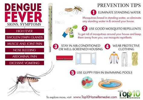 Dengue Fever: Signs, Symptoms and Prevention Tips | Top 10 Home Remedies