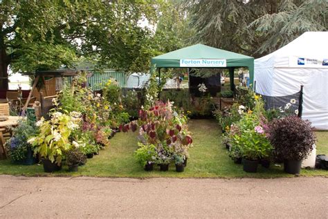 Taunton Flower Show 2011 | Lisa Cox Garden Designs Blog