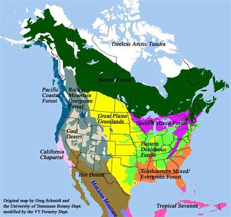 Forest map, Biomes, Map