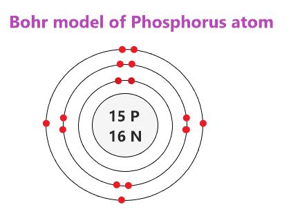 Phosphorus Nucleus