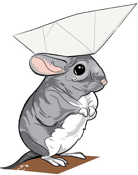 Chinchilla Wearing A Paper Hat by Josh Ellingson