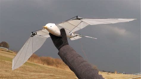 Japanese Doctor’s Hobby & Dreams Take Flight with 3D Printed ...