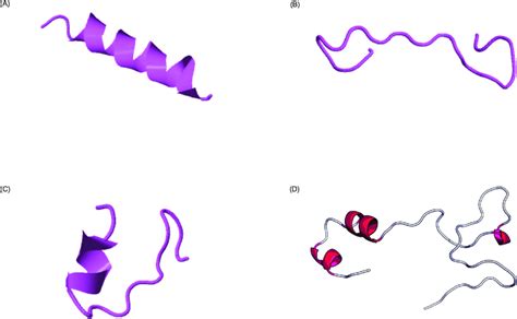 Predicted secondary structure of the synthetic peptides. (A) Peptide I ...