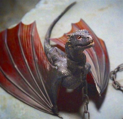 House of the Dragon ♡ on Instagram: “Baby Drogon 🐲” | Game of thrones art, Game of thrones ...