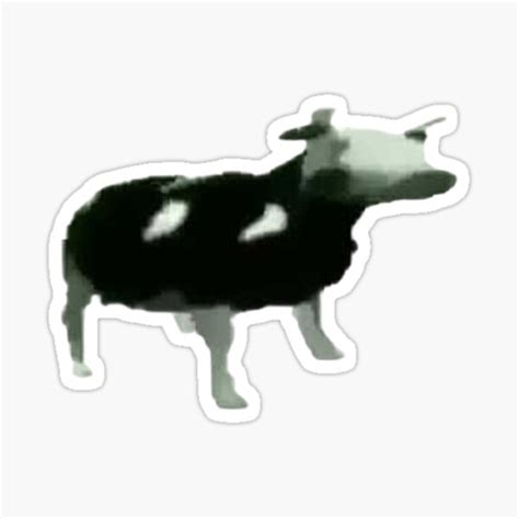 "Polish Cow Meme " Sticker for Sale by BuyFromHere | Redbubble