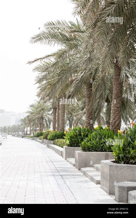 Corniche and Skyline, Doha, Qatar Stock Photo - Alamy