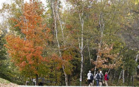 Canada's dramatic summer weather has altered the fall colours this year ...