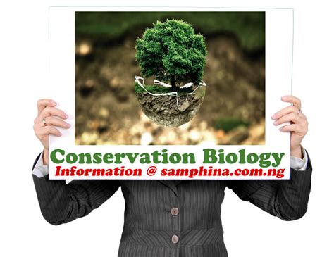 Universities in Nigeria That Offer Conservation Biology