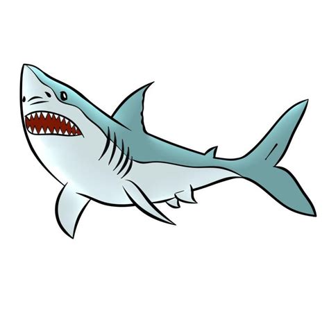 Cách vẽ con cá mập đơn giản cho bé đến phức tạp dễ thương nhất