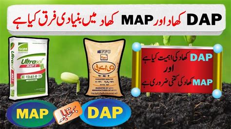 Difference between DAP fertilizer and MAP fertilizer, MAP fertilizer importance - YouTube