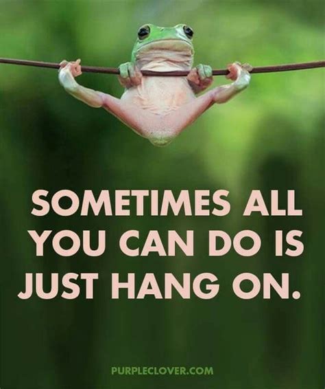 T t sometimes all you can do is hang on | Grappige citaten ...