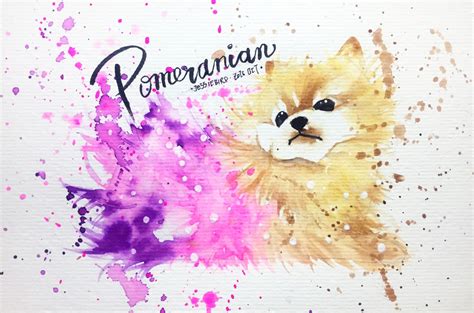 watercolor pomeranian | Watercolor dog, Dog art, Pomeranian dog