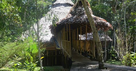 How to Find and Choose the Right Ayahuasca Retreat